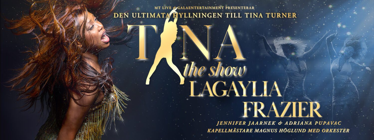 Tina - the Show 3/4